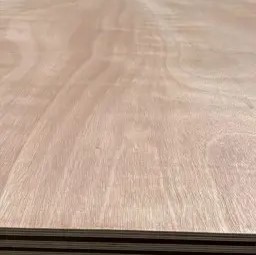 Commercial Plywood Bintangor for Packaging Solution